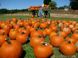 Farm radios can help any size farm get the job done