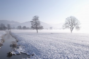 snowy field